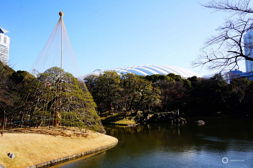 koishikawa-korakuen-garden-tokyo-3