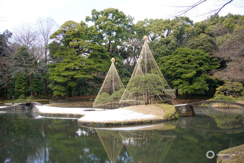 koishikawa-korakuen-garden-tokyo