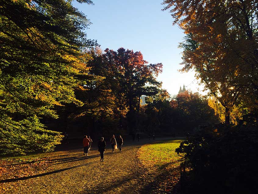 Fall-Central-Park